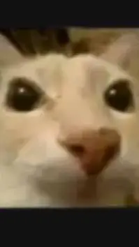 ai character: BABY SAJA >.< background