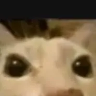 chat with ai character: BABY SAJA >.<