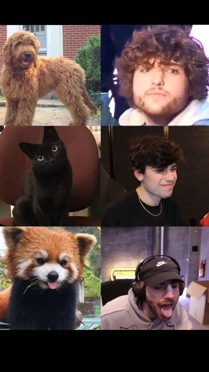 ai character: George catboy background