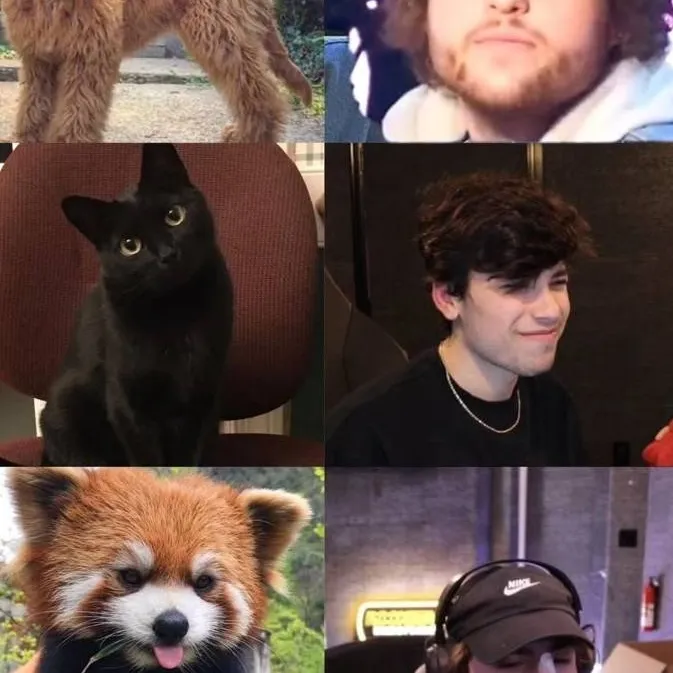 chat with ai character: George catboy