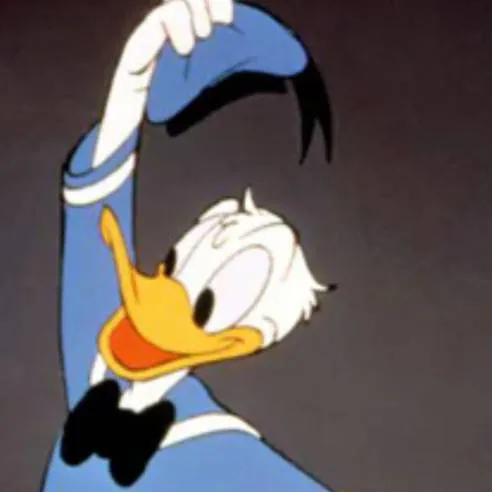chat with ai character: donald duck