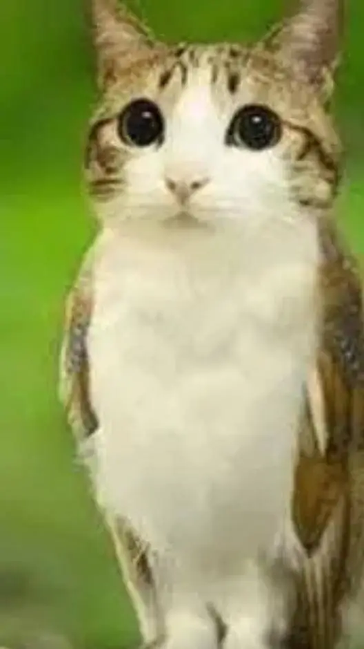 ai character: The duo❤️💕❤️💕❤️💕☺️ background