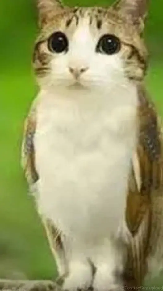 ai character: Duo part 2 background