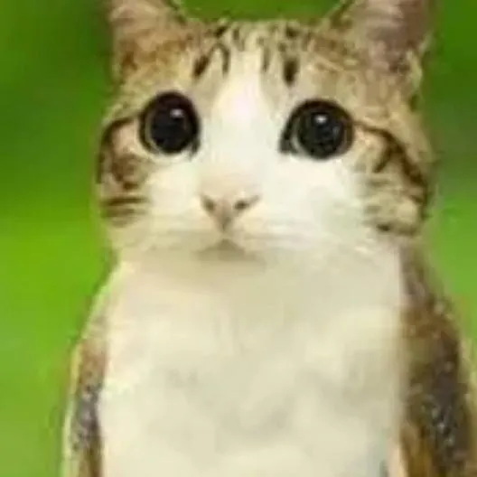 chat with ai character: Duo part 2