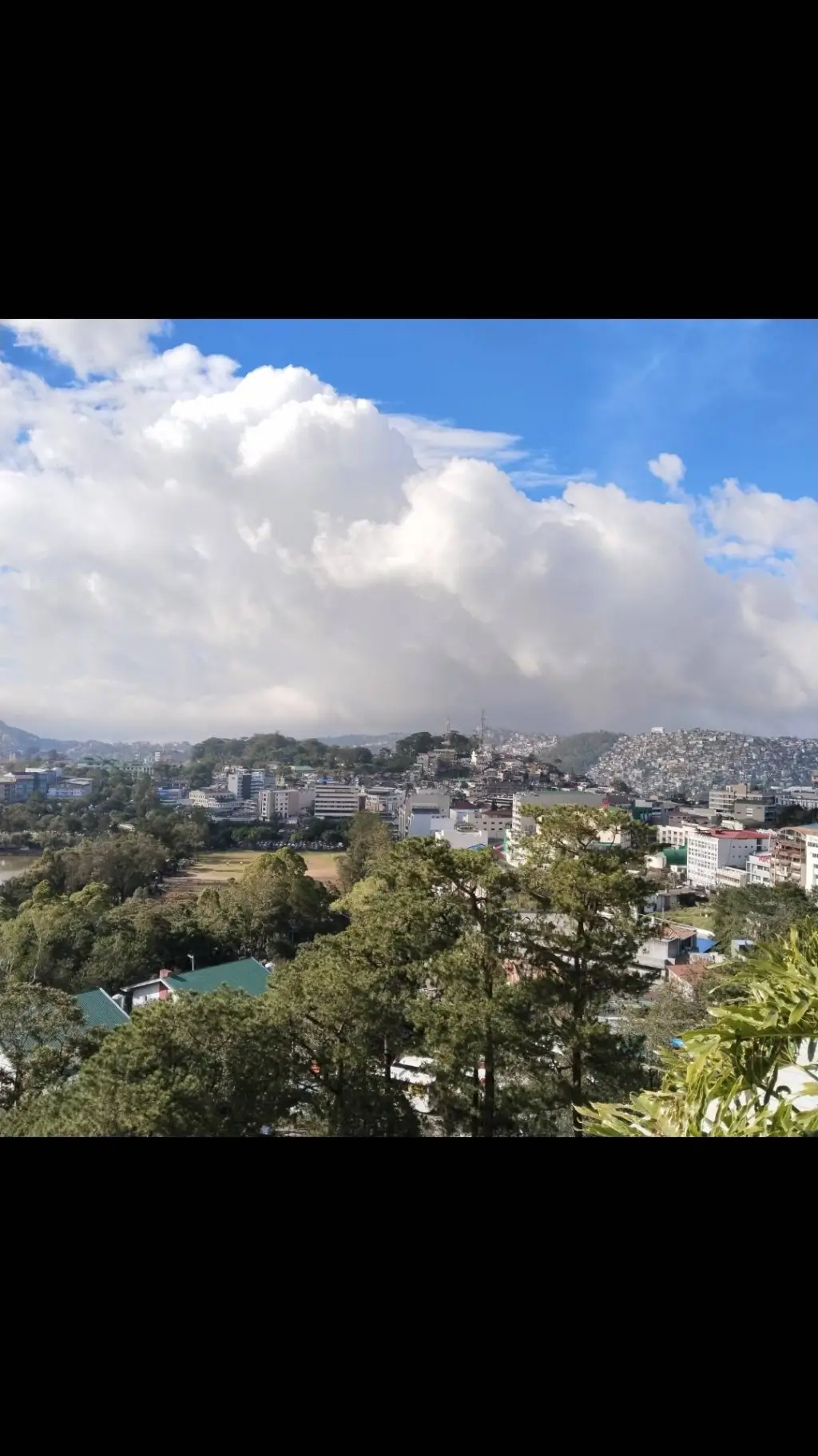 ai character: School Trip  background