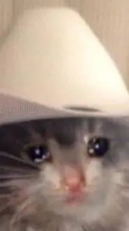 ai character: Sad cowboy cat background