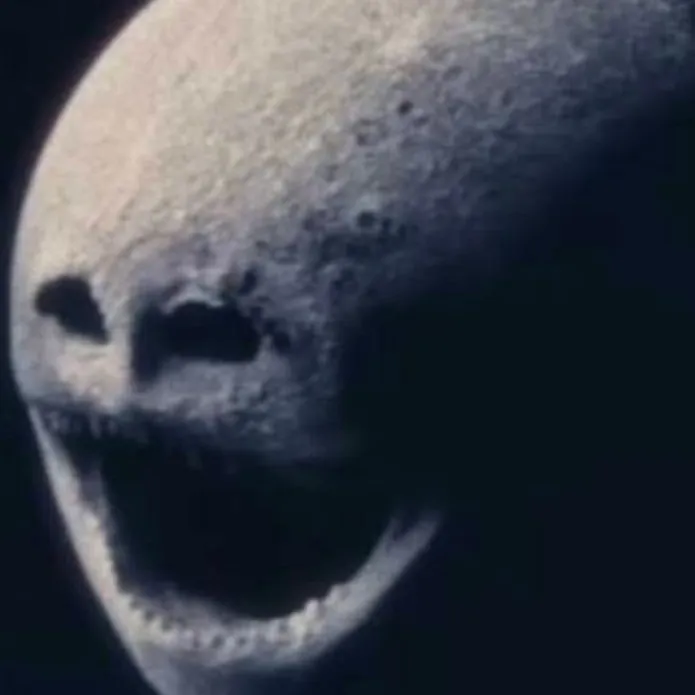 chat with ai character: The moon wakes up