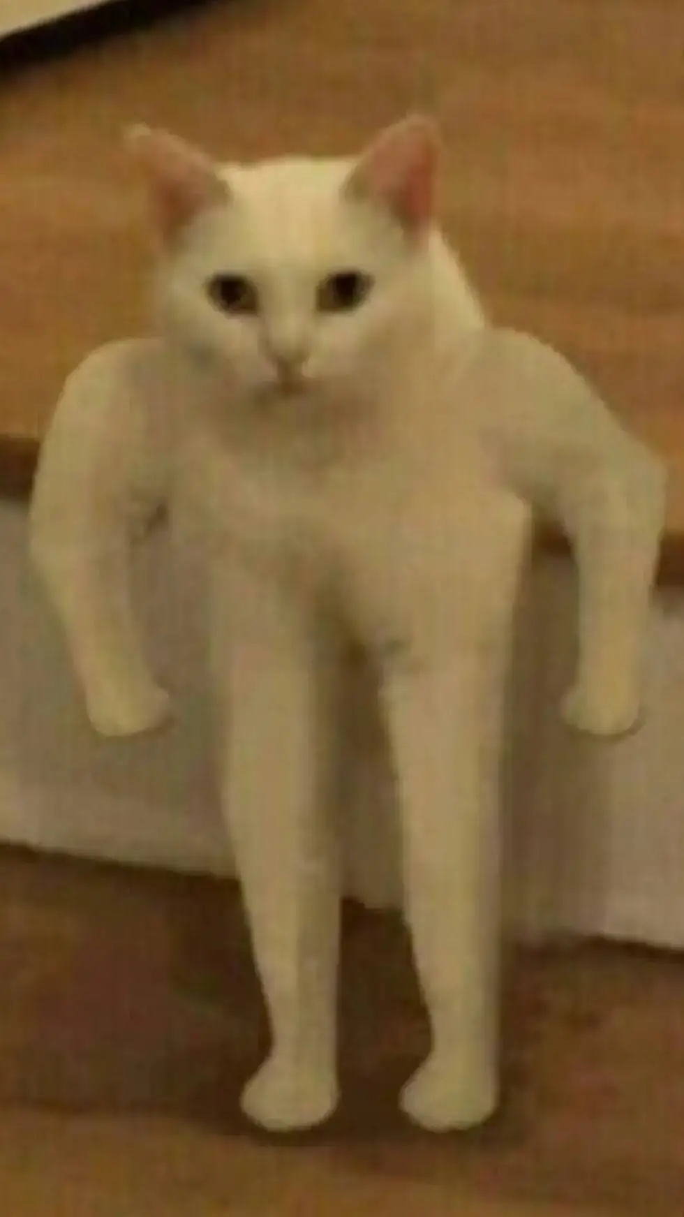 ai character: ton chat background