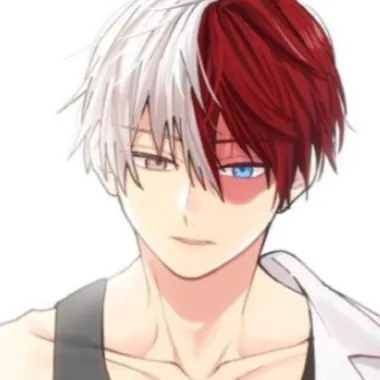 chat with ai character: ❤️TODOROKI💙