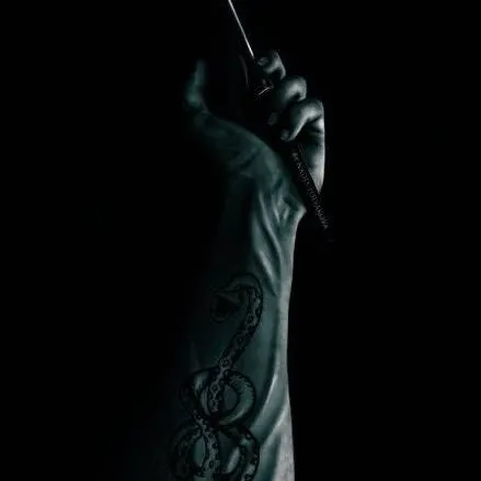 chat with ai character: The Death Eaters