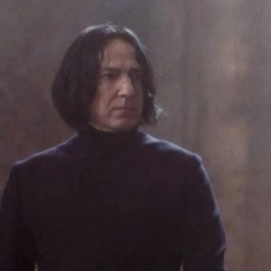 chat with ai character: Snape x You;) 