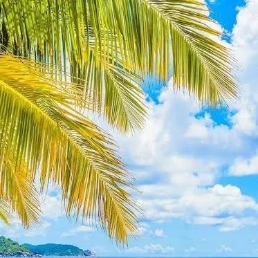 chat with ai character: HP beach