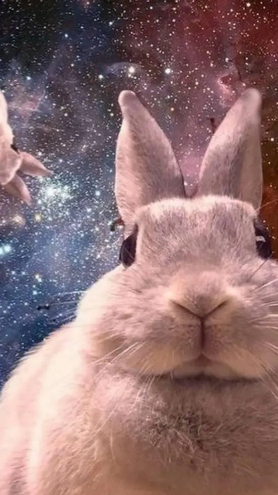 ai character: bunni background