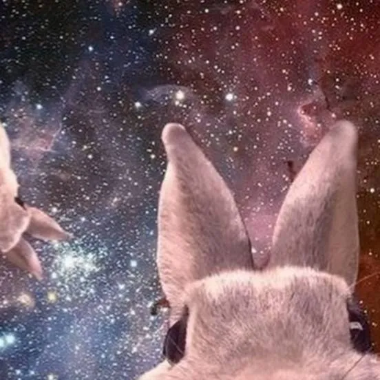 chat with ai character: bunni