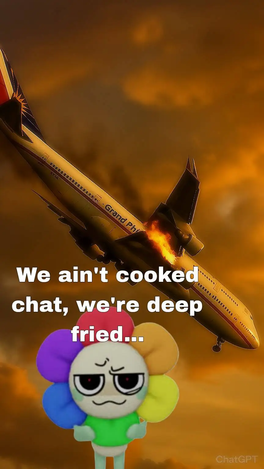 Talkie AI - Chat with DW Plane Crash!
