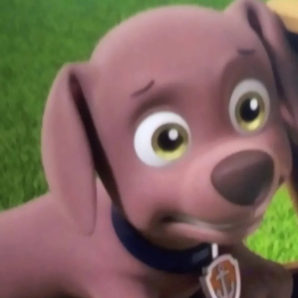 chat with ai character: zuma x rocky