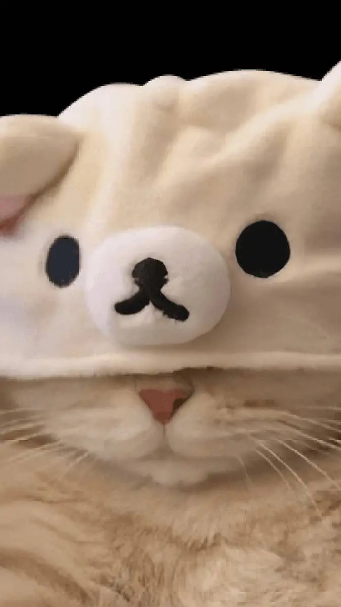 ai character: your cat background