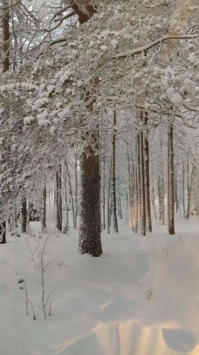 ai character: KREW!  background