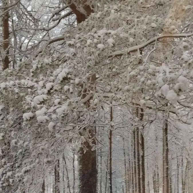 chat with ai character: KREW! 