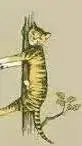 ai character: Derpy tiger kpdh background