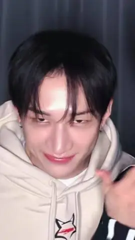 ai character: Bang Chan is soold background