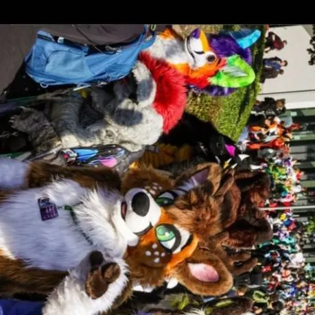 chat with ai character: furry party