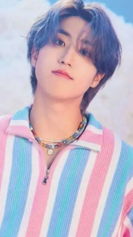 ai character: han(skz) background