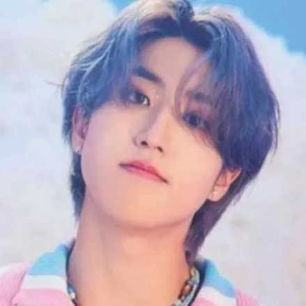 chat with ai character: han(skz)