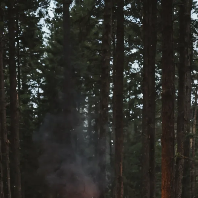 chat with ai character: Hogwarts camping🏕️