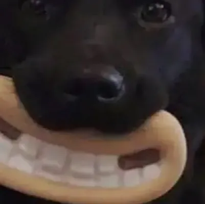 chat with ai character: Pentatonix 