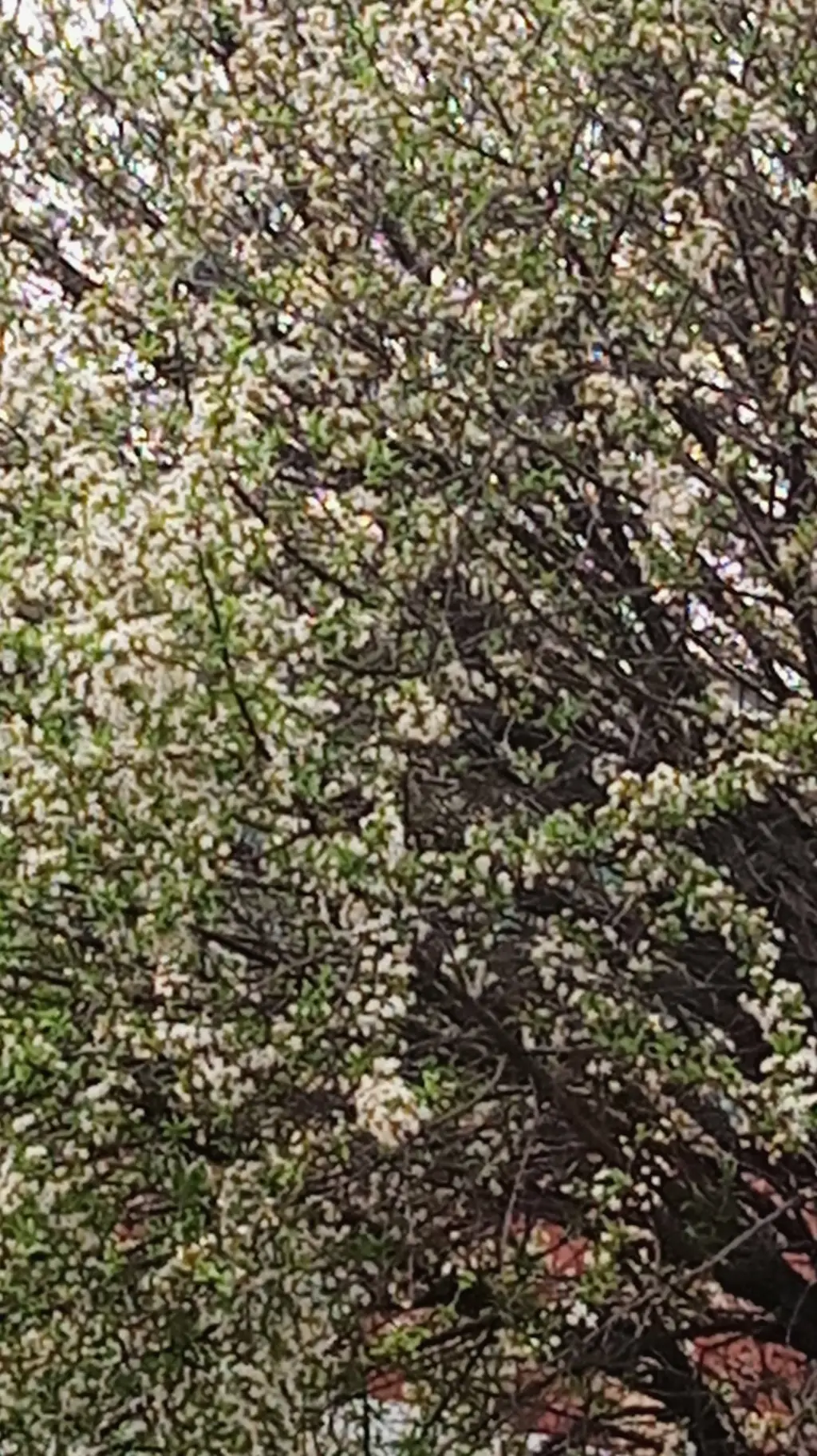 ai character: That one bro background