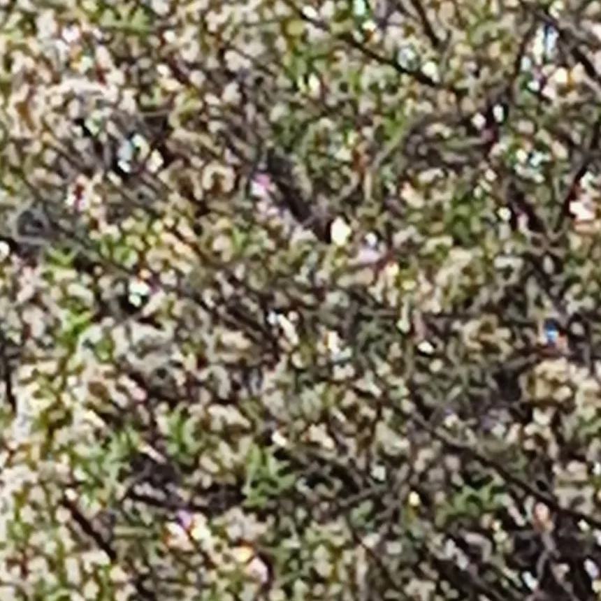 chat with ai character: That one bro