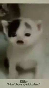 ai character: Kitler background