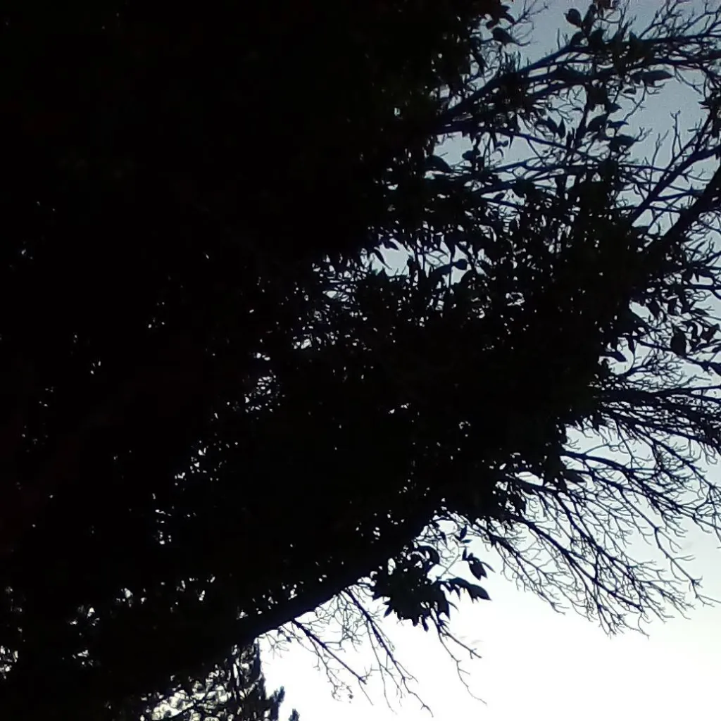 chat with ai character: Jason 