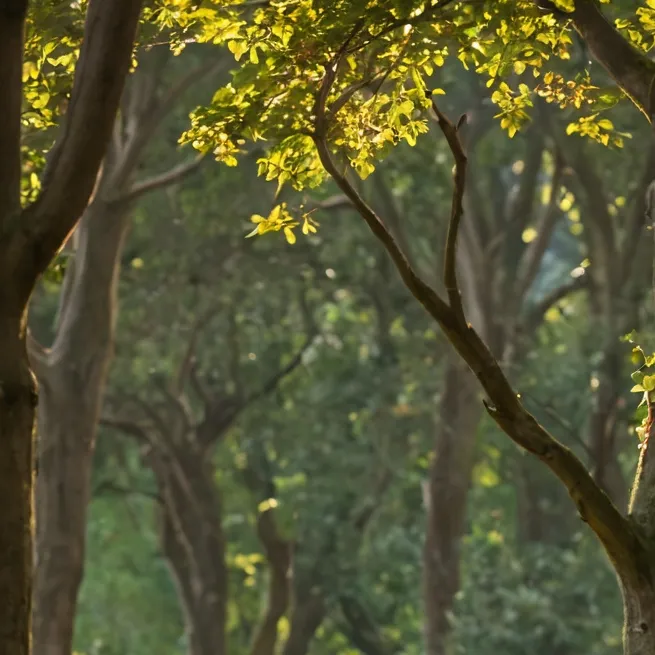 chat with ai character: Alastor 🩷🐆📻❤️