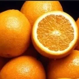 chat with ai character: Orange