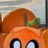 chat with ai character: gourdy the pumpkin