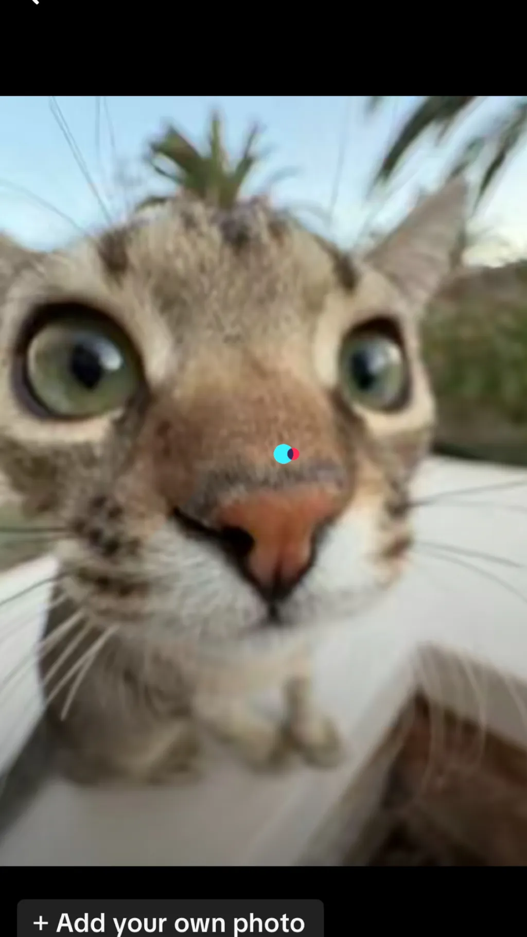 ai character: Vee but zombie!! background