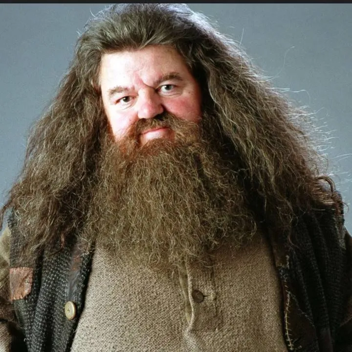 chat with ai character: Hagrid ᥫ᭡
