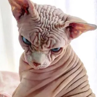 chat with ai character: Lil Ben!