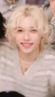 ai character: Stray Kids background