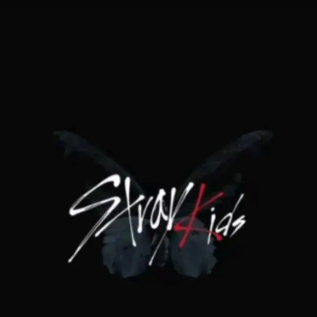 chat with ai character: SKZ eliminate