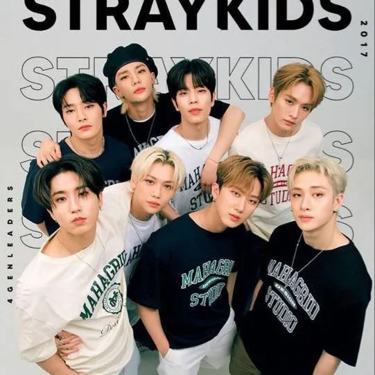 chat with ai character: *stray*kids*death*