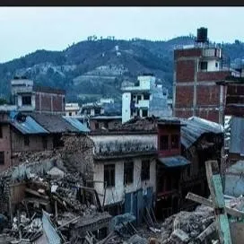 chat with ai character: Roy saves you