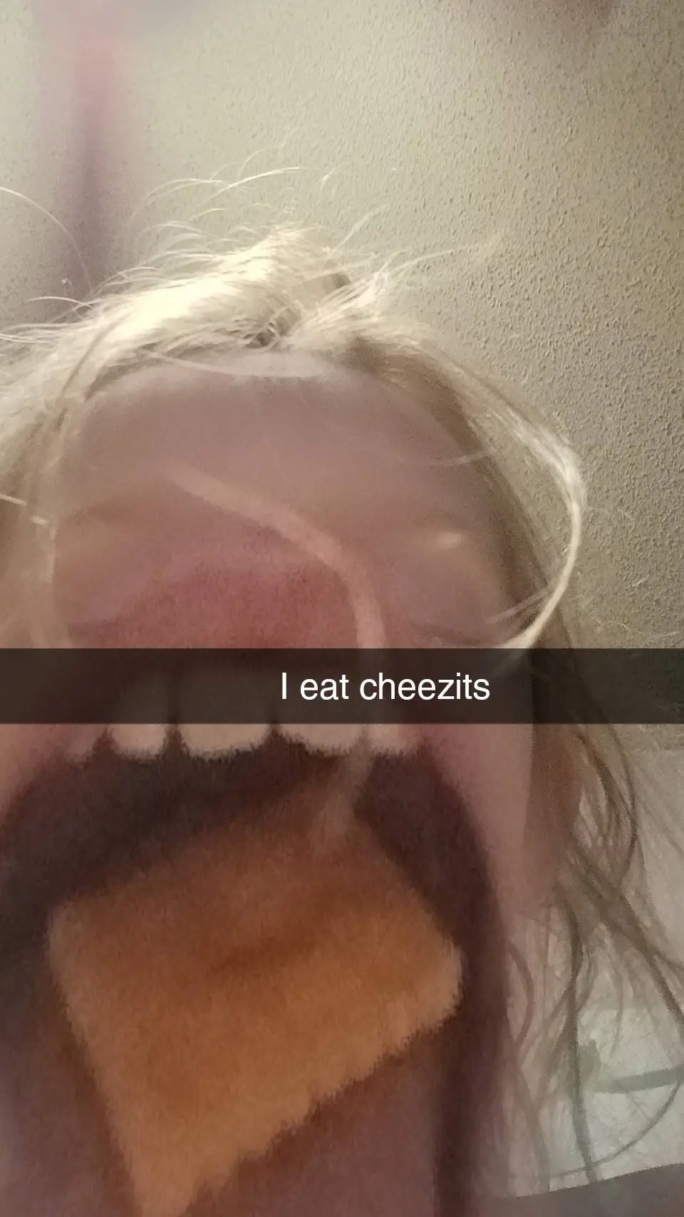 Talkie AI - Chat with cheezit vylet