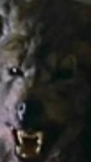 ai character: werewolf background