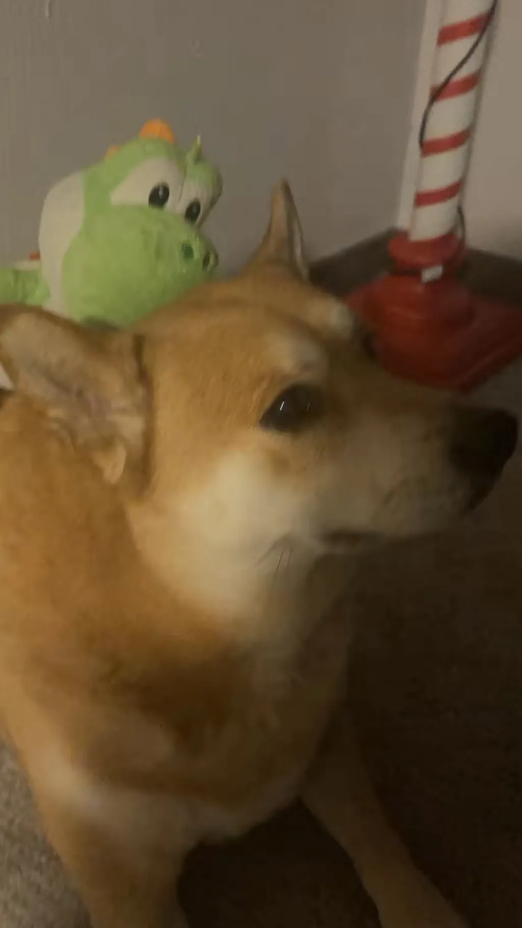 ai character: Yoshi background