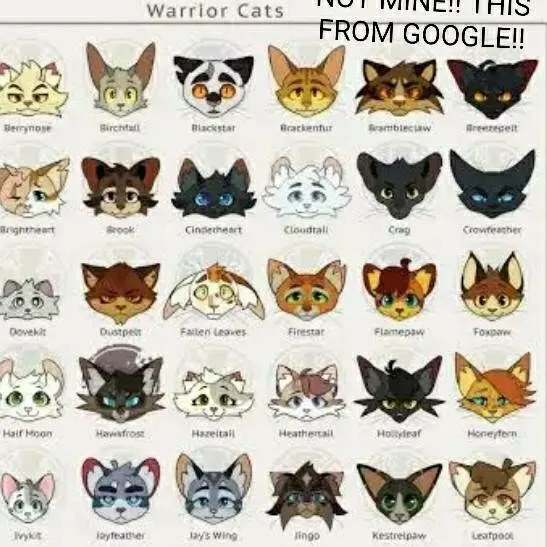 chat with ai character: WARRIOR CATS!! >:3