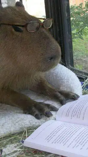 ai character: Capybara  background