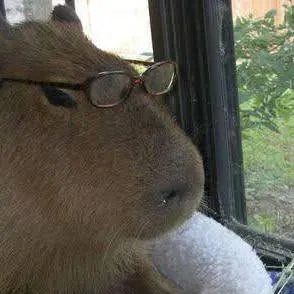 chat with ai character: Capybara 